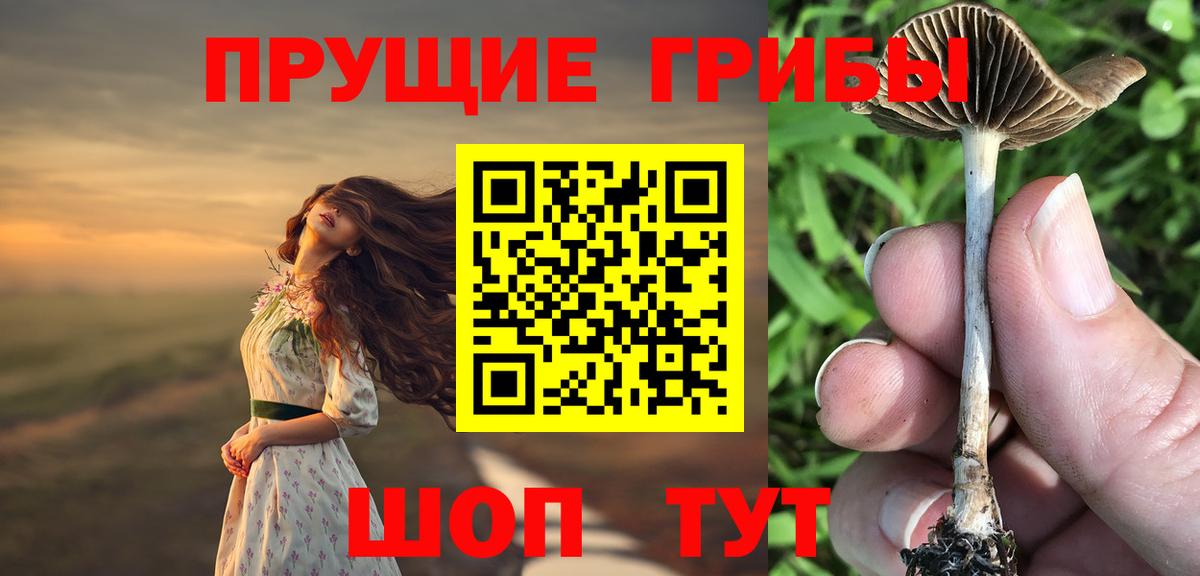 Псилоцибиновые грибы GOLDEN TEACHER  Вход с VPN  Мценск  Псилоцибиновые грибы прущие грибы 